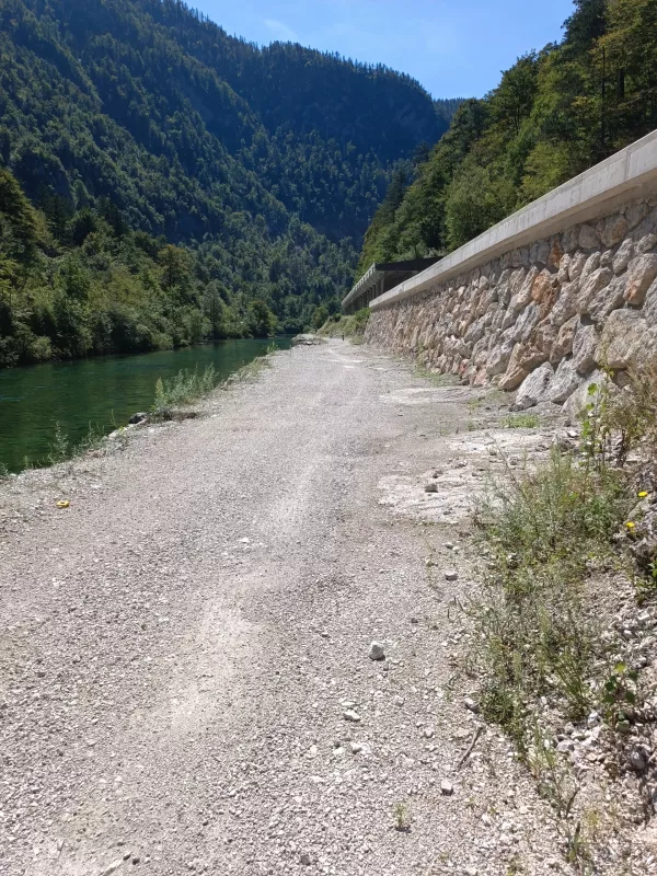 Kolesarska steza Bled-Bohinj