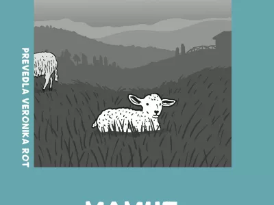 O ženskosti onkraj kulturnih dekorjev