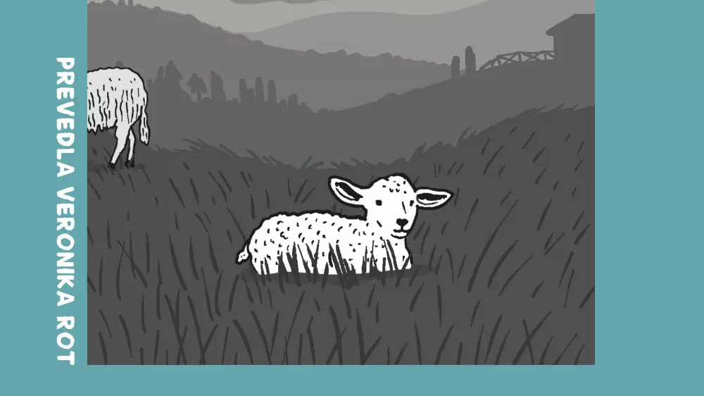 O ženskosti onkraj kulturnih dekorjev