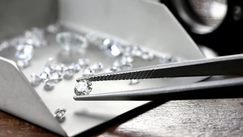 V trezorjih je bilo veliko nakita in diamantov. Nikoli pa ne bo znano, kaj vse so v njih našli.