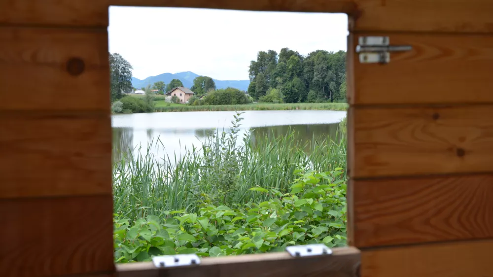 Zgodbe naših mokrišč