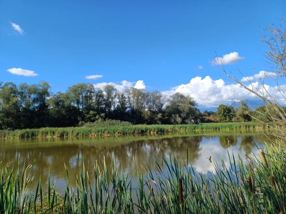 Zgodbe naših mokrišč