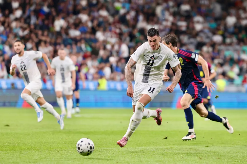 Slovenija - Švedska, Šeško