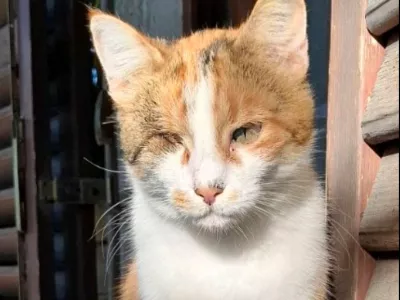 Enooka bojevnica Maca / Foto: Jani Čuk