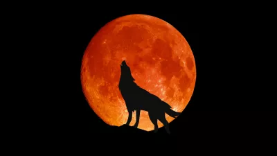 Ponekod so pojav povezovali tudi s prihodom volkodlakov. / Foto: Istock