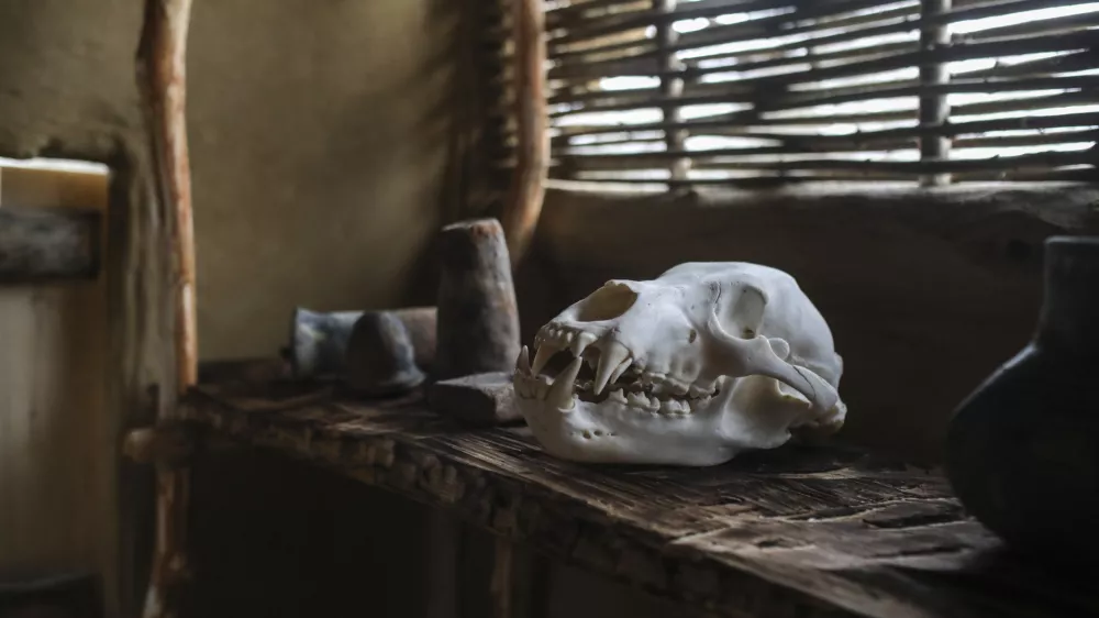 - koliščarska naselbina Morostig – hiša narave in kolišč. - 01.12.2022 – IG – Interpretacijski center - odprtje razstave in koliščarske naselbine - zaključek operacije Interpretacija biotske raznovrstnosti in dediščine kolišč na Ljubljanskem barju (Na-kolih) //FOTO: Jaka Gasar