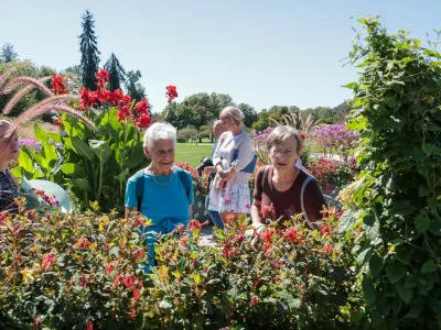 Sprehajalna pot za osebe z demenco