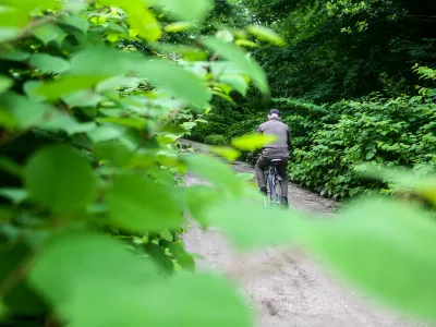 ﻿- japonski dresnik - trdoživi plevel iz vzhodne Azije na območju Viča, kolesar - kolesarstvo - starostniki - rekreacija    - 25.05.2015 - Agresivne tujerodne rastlinske vrste v Sloveniji - invazivna tujerodna vrsta - invazivne rastline -   //FOTO: Bojan Velikonja