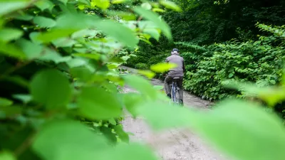 ﻿- japonski dresnik - trdoživi plevel iz vzhodne Azije na območju Viča, kolesar - kolesarstvo - starostniki - rekreacija    - 25.05.2015 - Agresivne tujerodne rastlinske vrste v Sloveniji - invazivna tujerodna vrsta - invazivne rastline -   //FOTO: Bojan Velikonja