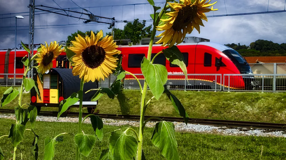 Foto: Mi&scaron;ko Kranjec