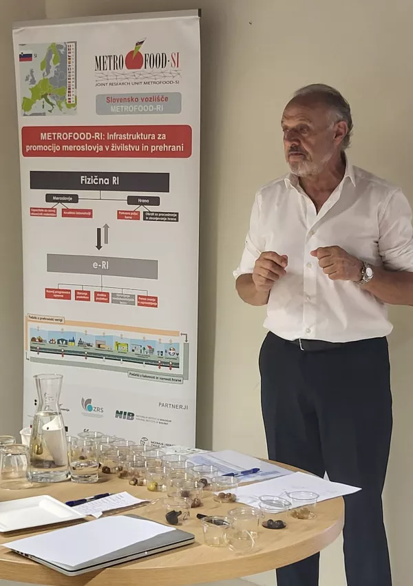 Roberto De Andreis, strokovnjak za namizne oljke, Imperia Ligurija / Foto: Katja Gleščič 