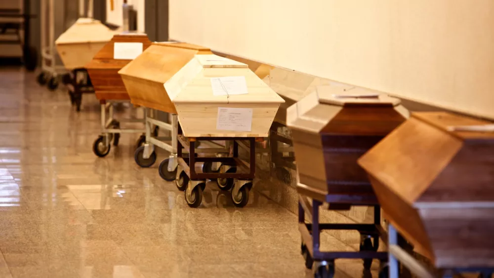 - Žale javno podjetje d.d.,  upepelitveni postopek / upepelitvena peč - krematorij - upepeljevalnica - ///FOTO: Luka Cjuha OPOMBA: ZA OBJAVO V PRILOGI – DNEVNIKOV OBJEKTIV - REPORTAŽA 2011