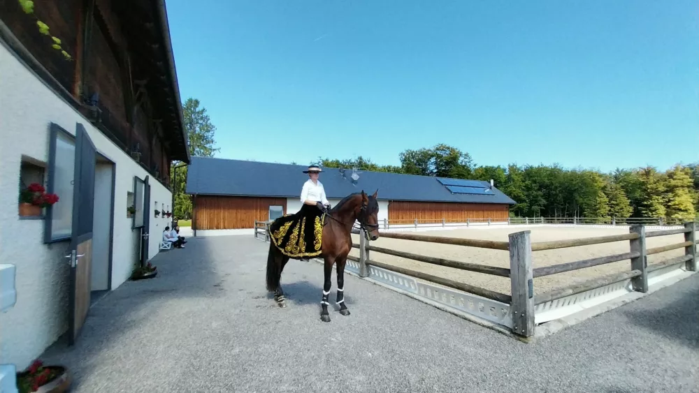 PV menaži se gostje lahko učijo jahat, prav tako po dogovoru poteka terapija s konji. 