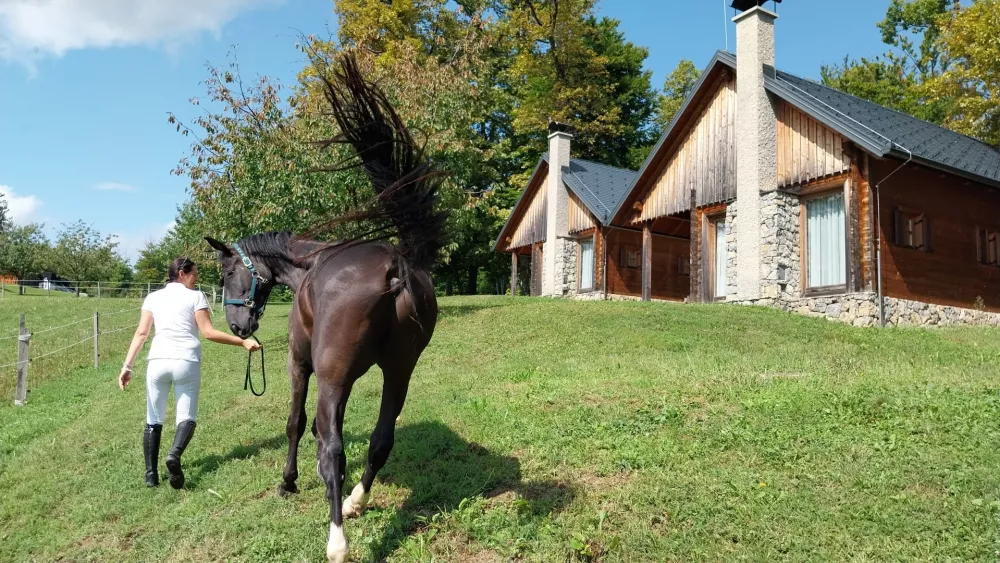 Konji so srce posestvi in na njih tudi gradijo celotno zgodbo in ponudbo. 