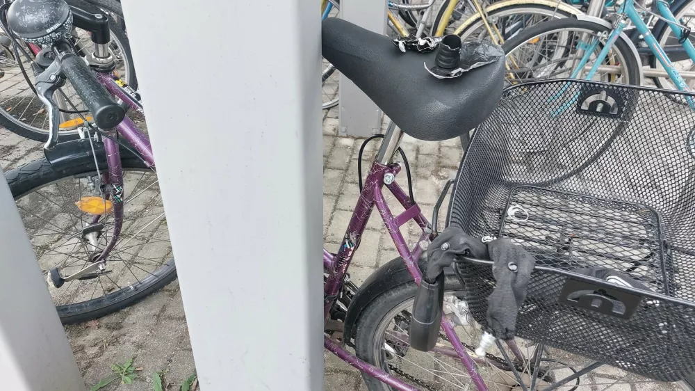 Imetniku letne vozovnice SŽ so včeraj popoldne do danes zjutraj v kolesarnici vnovič poskušali odtujiti kolo. Foto: Miha Pavšek