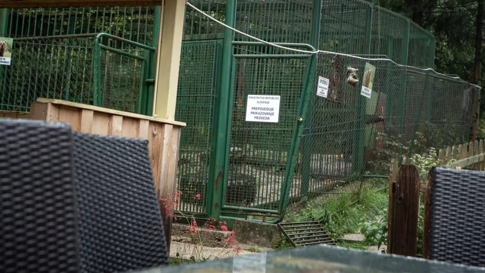 Mici bo železno kletko sredi novembra zamenjala za prostrani gozd. Foto: Four paws