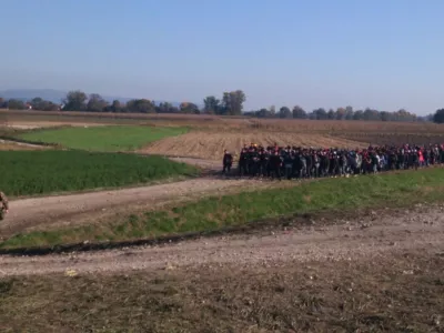 ﻿Festival dokumentarnega filma DOKUDOC