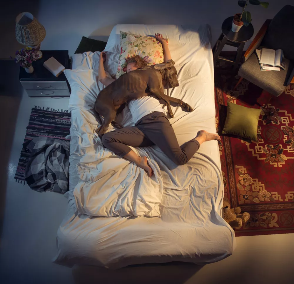 Portrait of a woman, female breeder sleeping in the bed with her dog at home. Top view. Dressed housekeeper sleeping after tiring work day. Holding his pet close to. Job, work, pets love concept.