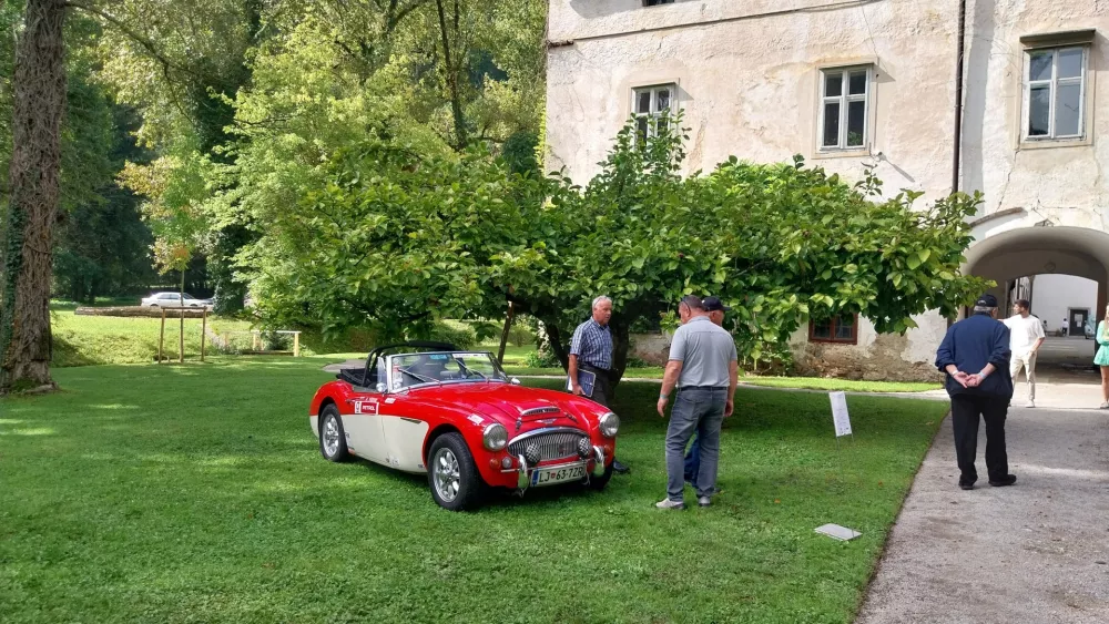 Foto: Vesna Levičnik