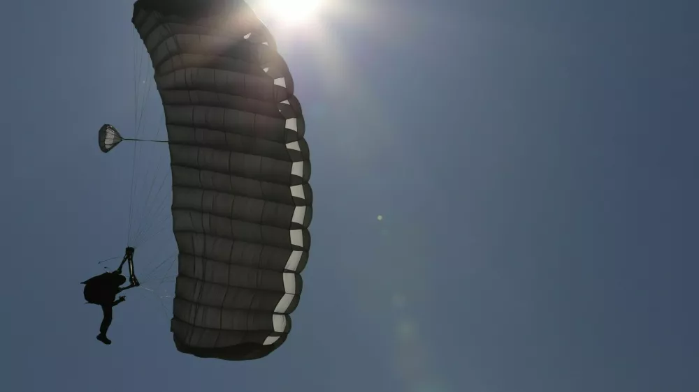 Padalec - simbolična fotografija