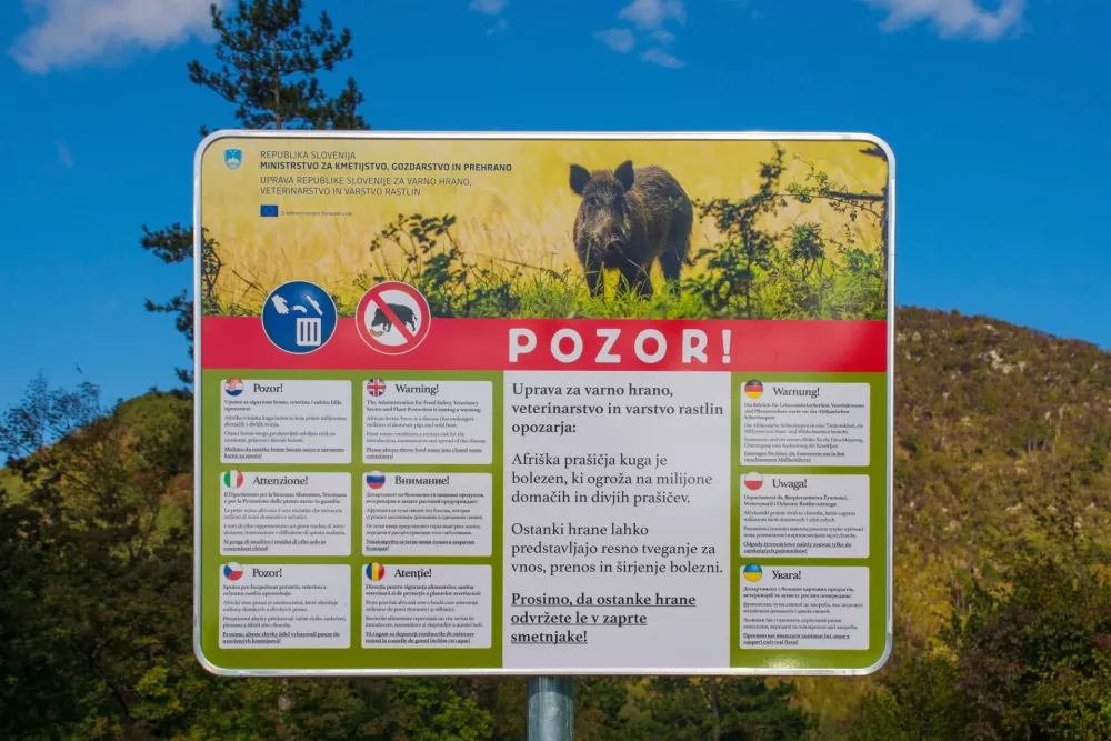 Afriška prašičja kuga prizadene tako domače kot tudi divje prašiče. Ponekod so že postavili takšne table. / Foto: Istock