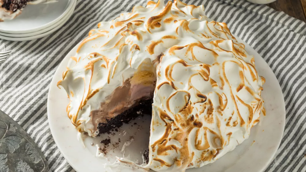 Homemade Toasted Baked Alaska with Chocolate Berry Vanilla Ice Cream / Foto: Bhofack2