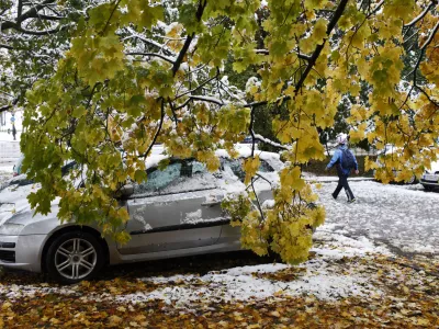 - prvi sneg 2012 sneženje v Ljubljani, podrto drevje - jesensko listje //FOTO: Luka Cjuha