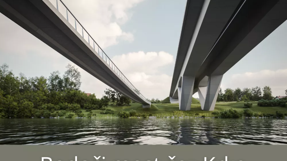 Vlada soglašala z revizijo udarne sodbe