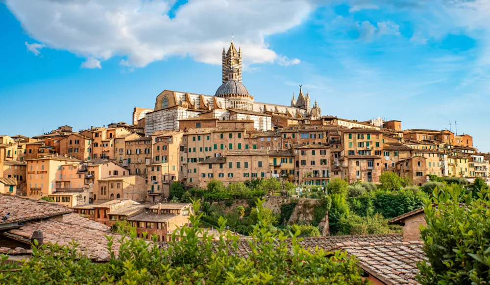 Blick auf die Altstadt von Siena in der Toskana im Sommer, in der Mitte ist der berühmte Dom zu sehen