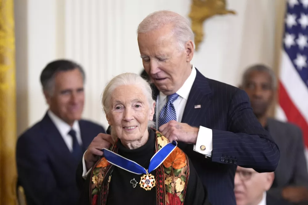 FILE - President Joe Biden, right, presents the Presidential Medal of Freedom, the Nation's highest civilian honor, to conservationist Jane Goodall in the East Room of the White House, Jan. 4, 2025, in Washington. (AP Photo/Manuel Balce Ceneta, File)