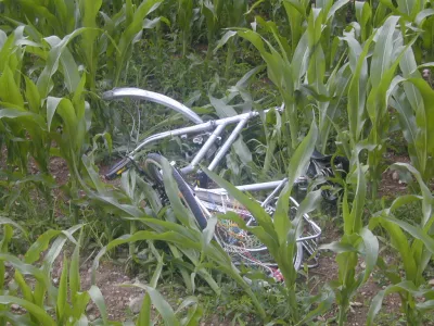 prometna nesreča kolo, 