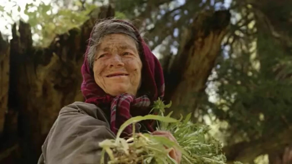 Agafija nabira zelišča in gozdne plodove, prav tako verjame, da je corona virus preživela zaradi molizve.  Foto: posnetek zaslona youtube