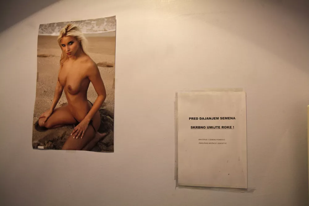 posebna soba za pare- spermalna banka - sperma - banka semen - medicinska reprodukcija - ginekologija - Klinični oddelek za reprodukcijo Ginekološke klinike, Zaloška 2//FOTO: Luka Cjuha