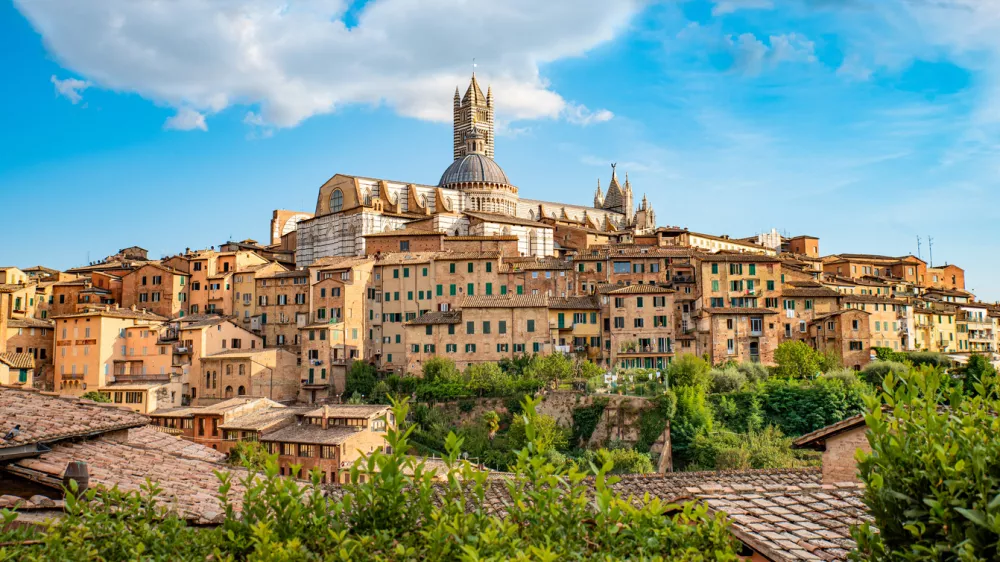 Blick auf die Altstadt von Siena in der Toskana im Sommer, in der Mitte ist der berühmte Dom zu sehen