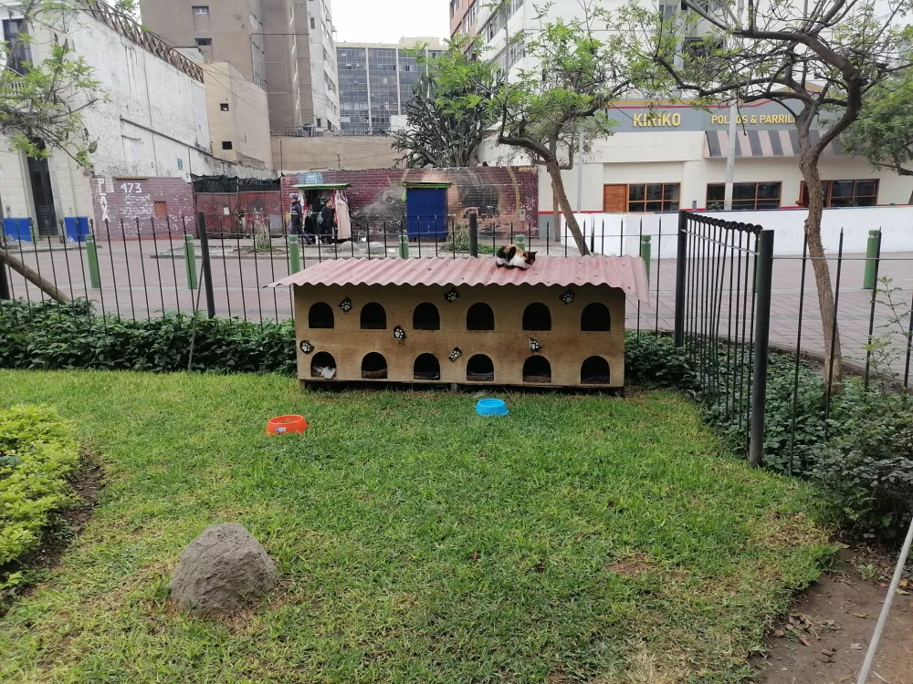 Mačji hotel so postavili mačji entuziasti, ki so želeli, da bi jim bilo v tem parku karseda domačno.