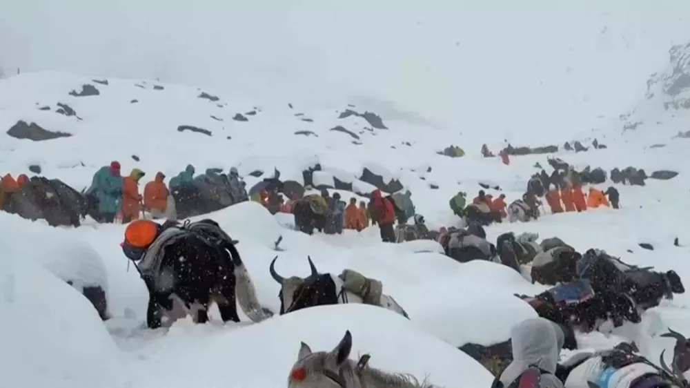 In this photo taken Oct. 4, 2025 and released by Lingsuiye, villagers with their oxen and horses ascend the mountain during rescue efforts to reach hundreds of hikers trapped by heavy snow at tourist campsites on a slope of Mount Everest in Tibet on Sunday, Oct. 5, 2025. (Lingsuiye via AP)