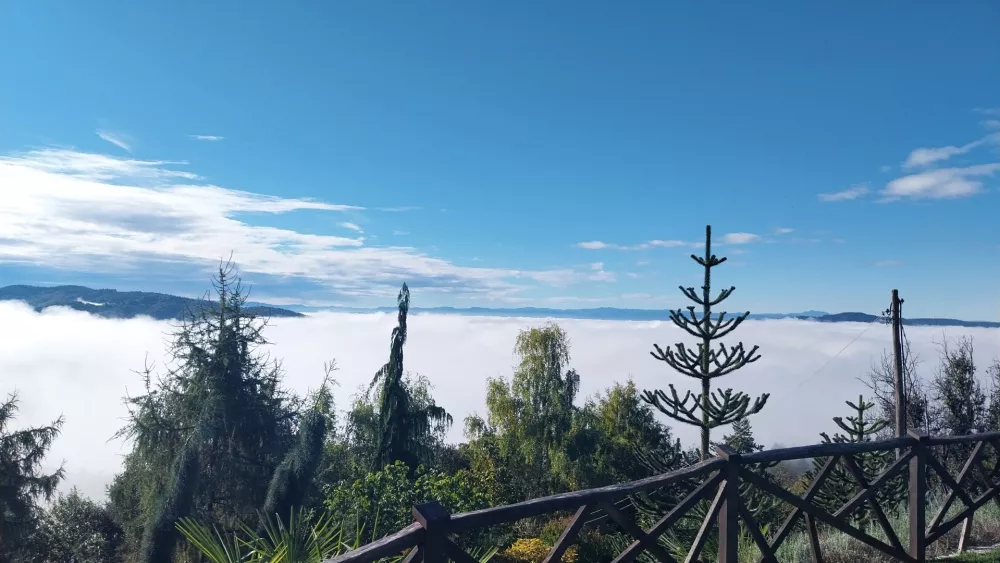 Botanični raj v Posavskem hribovju