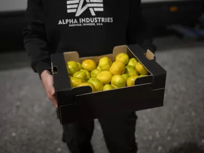 lokalna hranazdrava hrana07.10.2025 - Skupnostno nakupovanje, Mali plac za prihodnost, parkirišče pred Interšpar Vič. Foto: Nik Erik Neubauer 