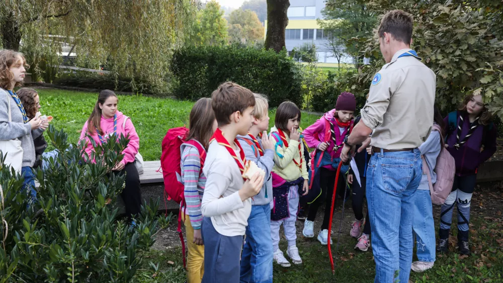 11.10.2025. Fotoorientacijski pohod tabornikov. Foto: Bojan Velikonja 