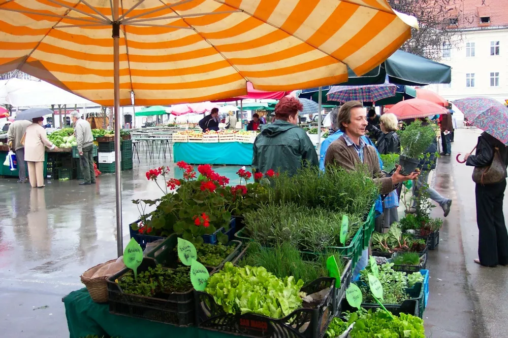 Janez Čuda, branjevec