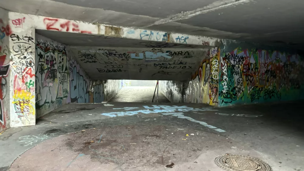 Smrdljiv podhod pri Aleji