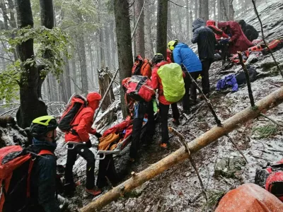 Radovljiški gorski reševalci so pomagali pohodnici, na katero je padlo drevo. 