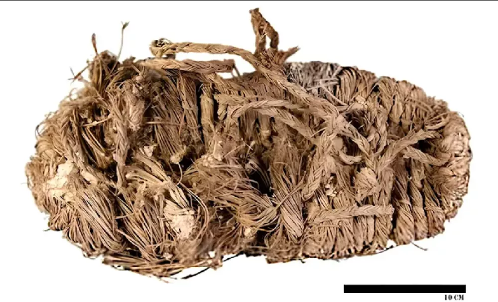 Sandal, ki so ga našli v gnezdu. / Foto: Sergio Couto/margalida Et Al./ecology