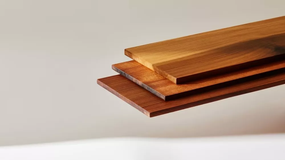 Nova vrsta lesa, ki sliši na ime superles