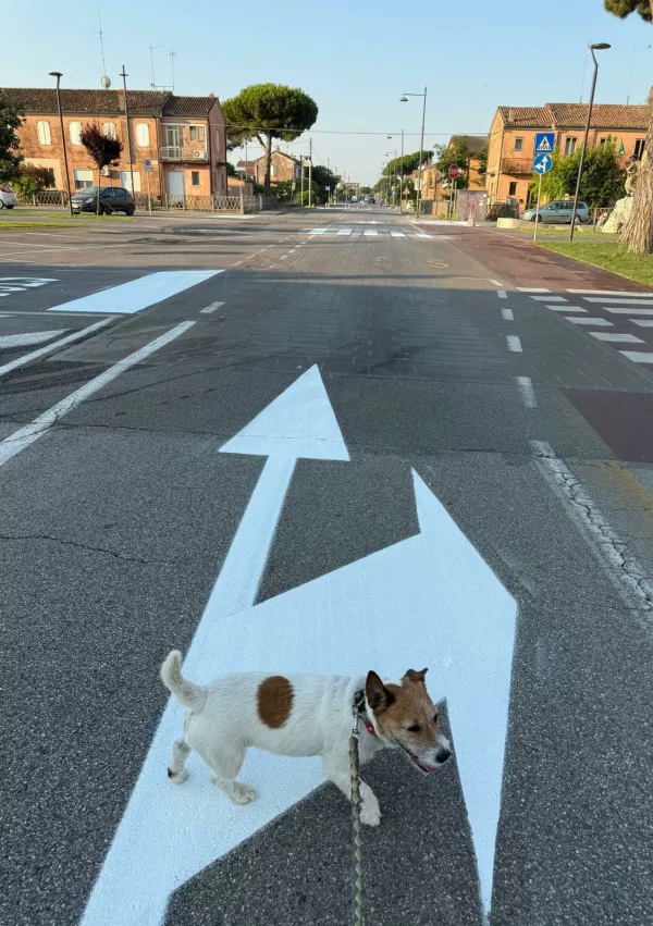 mario mantovan pes thor / Foto: Facebook 