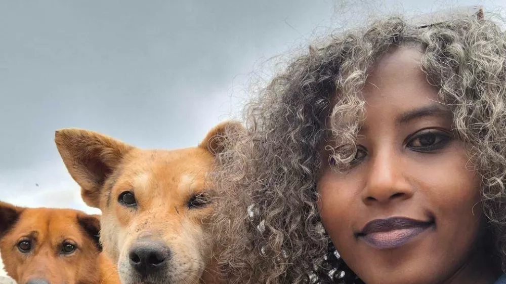 Feven Melese / Foto: Kwfj P9qu8d '