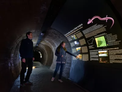 Foto: Arhiv ZTKK/Aleš Komovec