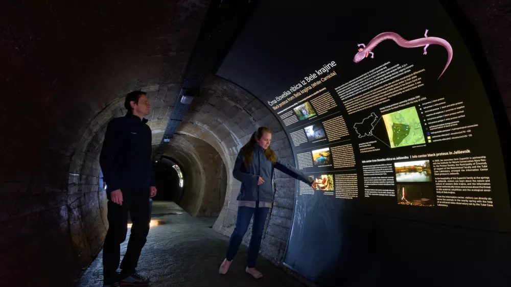 Foto: Arhiv ZTKK/Aleš Komovec