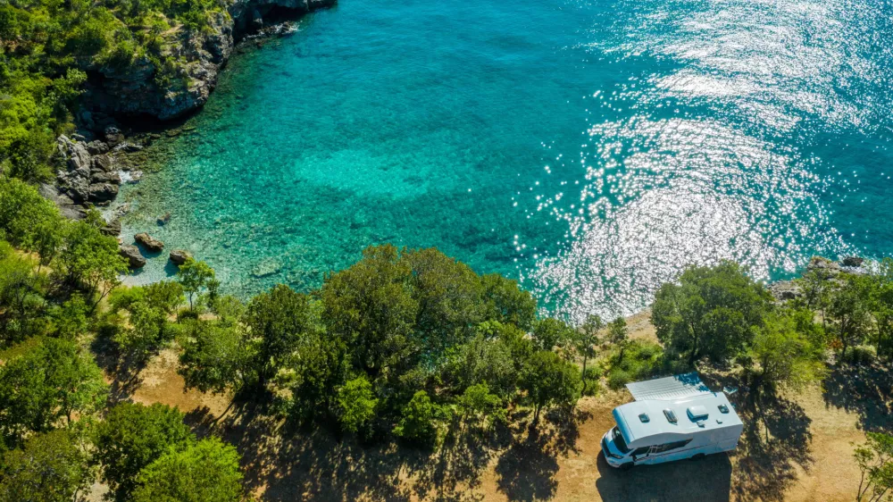 Vi, morje, sonce in - divji prašiči / Foto: Istock