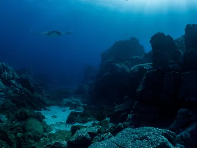 Manta rays are very friendly to divers in Socorro island. They are really good underwater models. / Foto: Hyoungho Lee